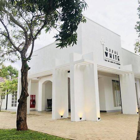 Royal White Tourist Rest Hotel Anuradhapura Eksteriør billede