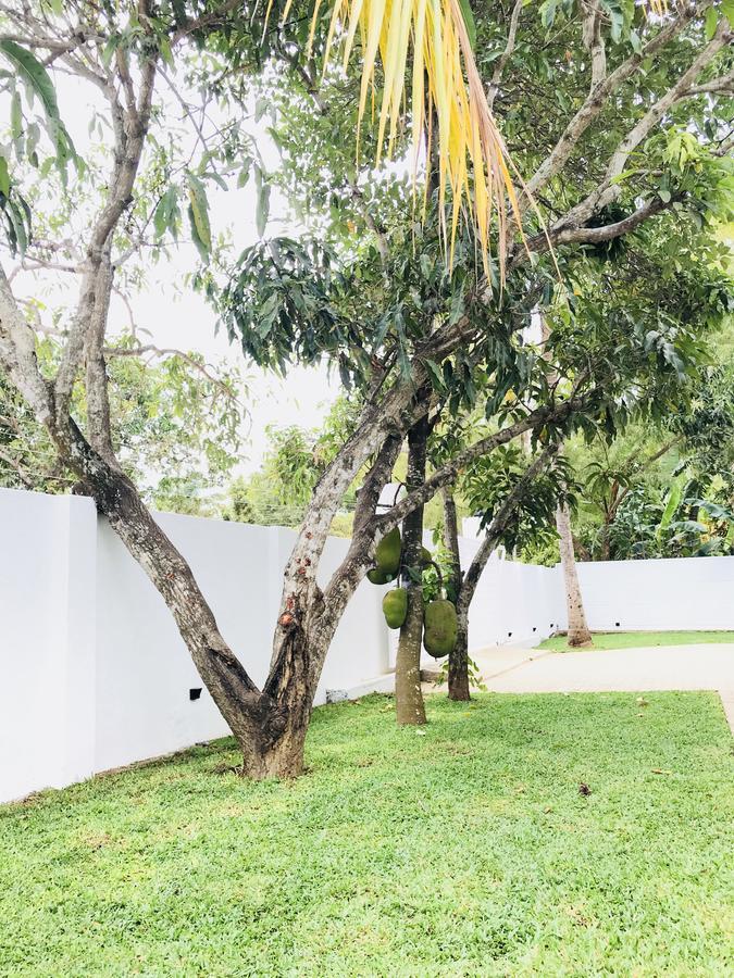 Royal White Tourist Rest Hotel Anuradhapura Eksteriør billede