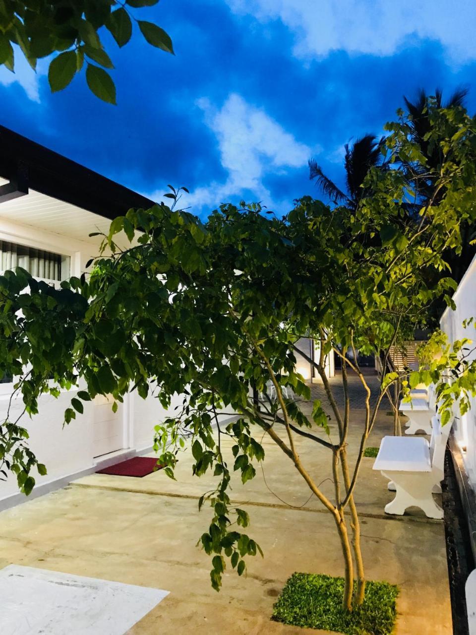 Royal White Tourist Rest Hotel Anuradhapura Eksteriør billede