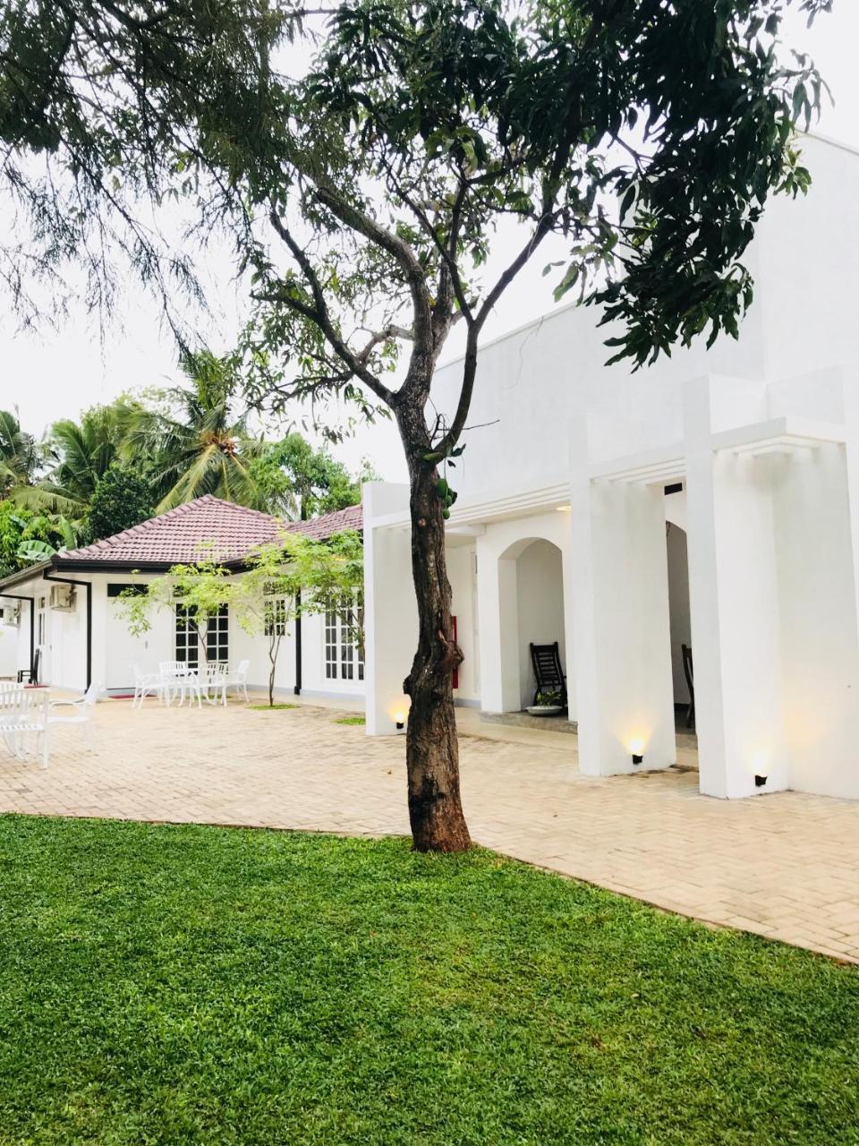 Royal White Tourist Rest Hotel Anuradhapura Eksteriør billede