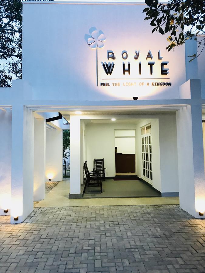 Royal White Tourist Rest Hotel Anuradhapura Eksteriør billede
